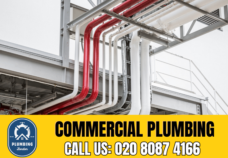 commercial plumbing Streatham Hill