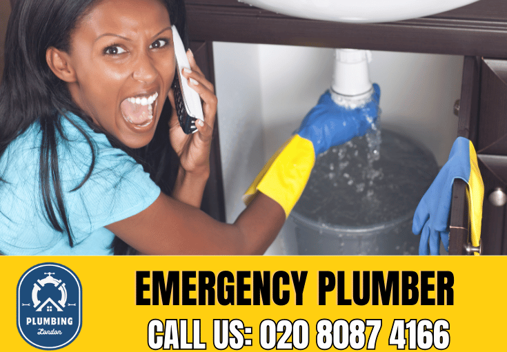 emergency plumber Streatham Hill