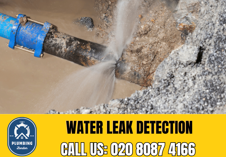 leak detection Streatham Hill