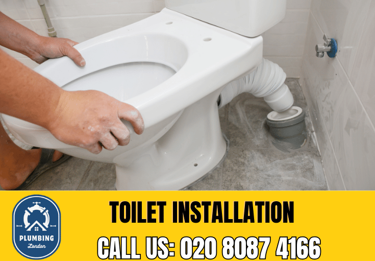 toilet fitters Streatham Hill